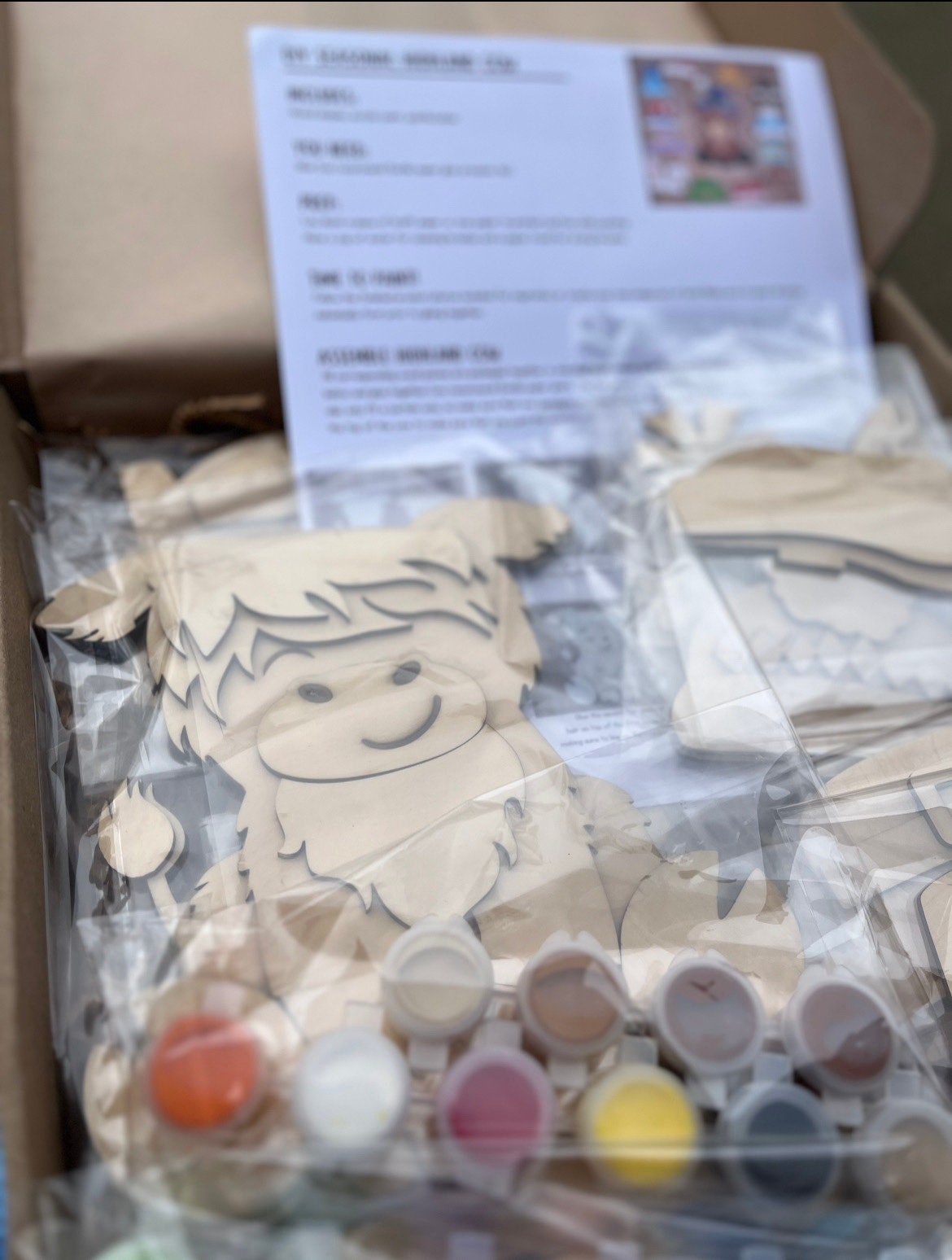 Paint your own Highland cow interchangeable sign